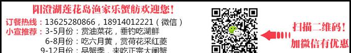 陽澄湖蓮花島蟹莊排名_陽澄湖蓮花島自駕游_陽澄湖蓮花村