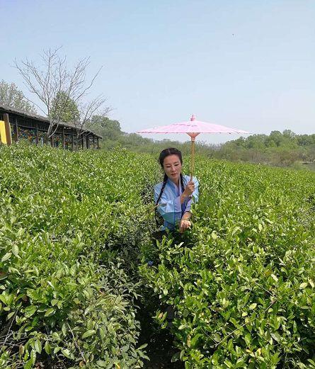 信陽到西安自駕游_信陽到西安旅游團多少錢一個人_西安至信陽自駕游