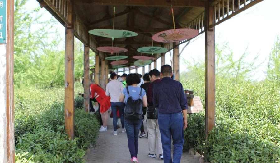 信陽到西安自駕游_信陽到西安旅游團多少錢一個人_西安至信陽自駕游