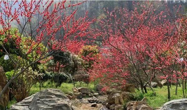 信陽到西安旅游團多少錢一個人_信陽到西安自駕游_西安至信陽自駕游