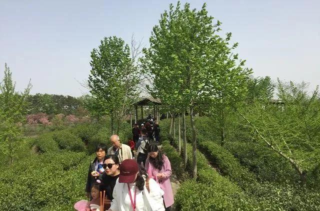 西安至信陽自駕游_信陽到西安旅游團多少錢一個人_信陽到西安自駕游