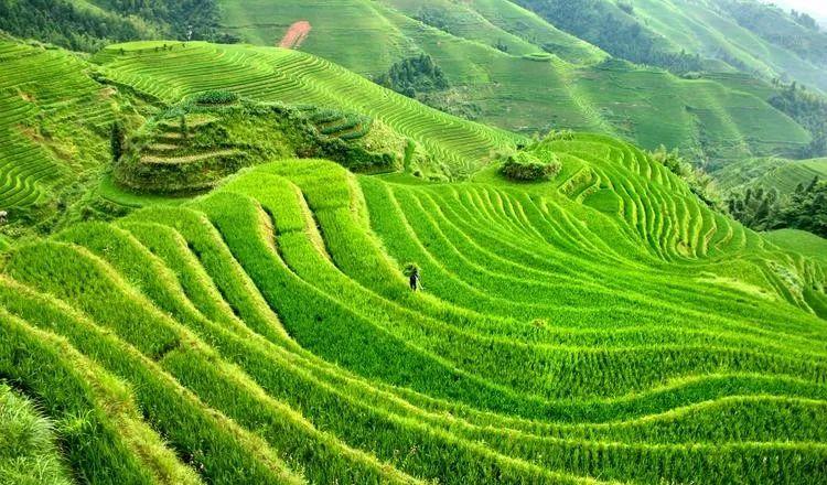 福建去麗江玩要多少錢_福建去麗江哪樣比較近_福建到麗江自駕游