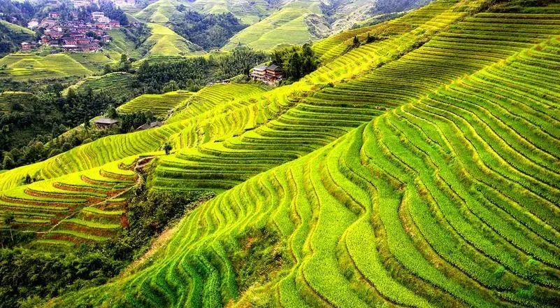 福建去麗江玩要多少錢_福建到麗江自駕游_福建去麗江哪樣比較近