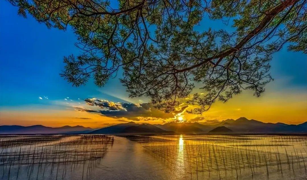 福建去麗江玩要多少錢_福建去麗江哪樣比較近_福建到麗江自駕游