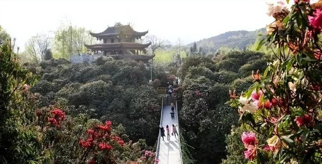 福建去麗江哪樣比較近_福建去麗江玩要多少錢_福建到麗江自駕游