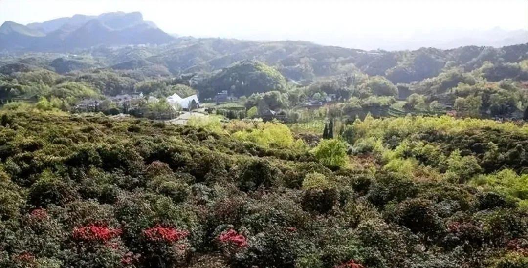 福建去麗江玩要多少錢_福建到麗江自駕游_福建去麗江哪樣比較近