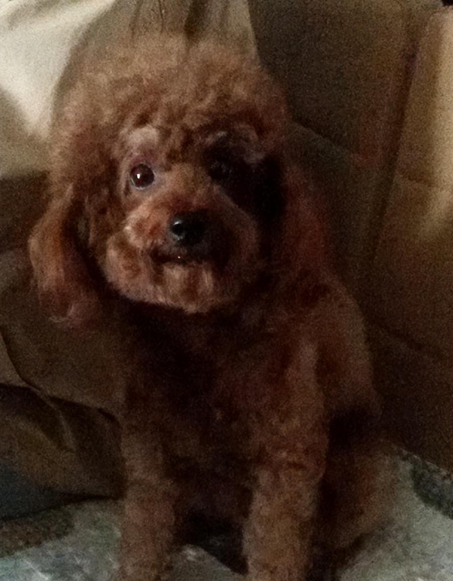 自駕游色達如何訂票_色達自駕游_自駕游色達需要多少錢