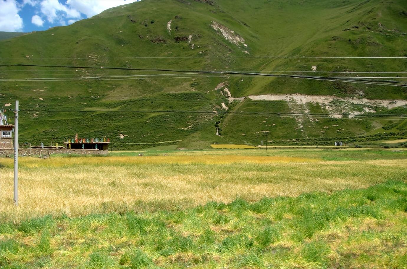 自駕游色達(dá)如何訂票_自駕游色達(dá)需要多少錢_色達(dá)自駕游