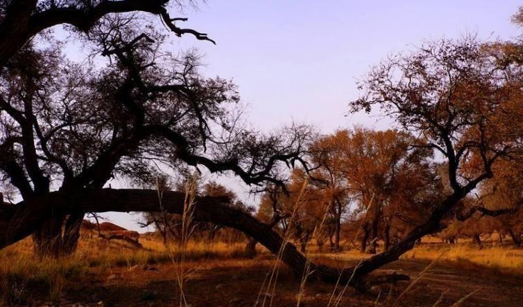 自駕連云港游玩攻略_連云港自駕_連云港二日自駕游