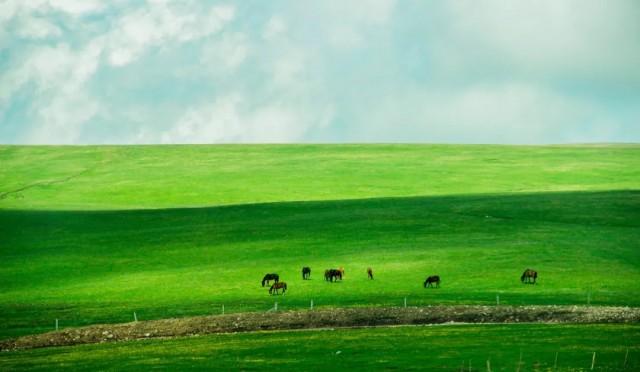 河內嘉林火車站到河內機場_河內嘉林機場_河內嘉林火車站