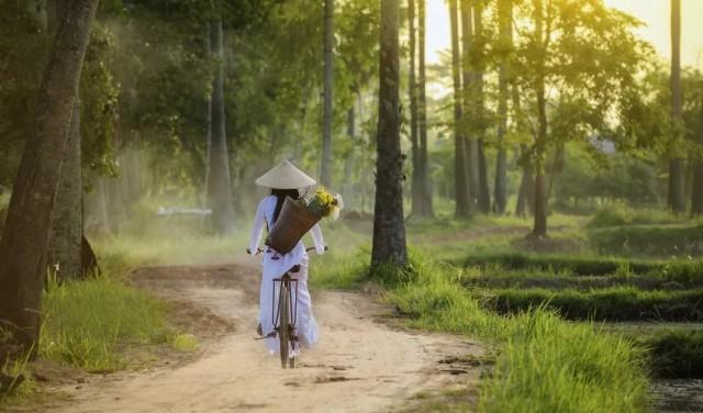 河內嘉林火車站_河內嘉林火車站到河內機場_河內嘉林機場