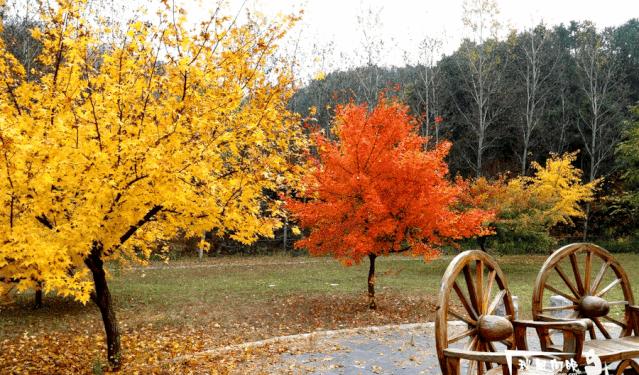 玻璃棧道橋_玻璃橋自駕游_周邊玻璃橋