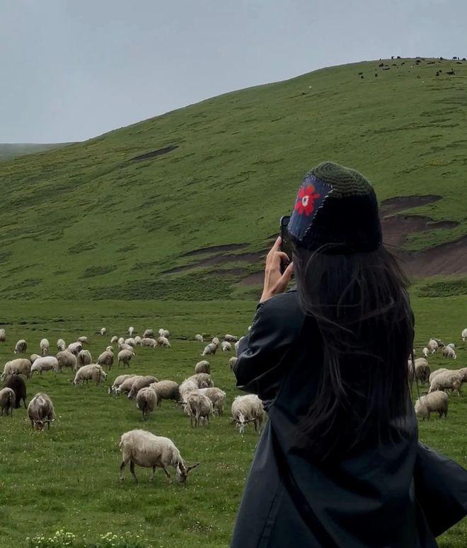 九色甘南自駕游_甘南自駕游一個(gè)人費(fèi)用多少_自駕游甘南攻略