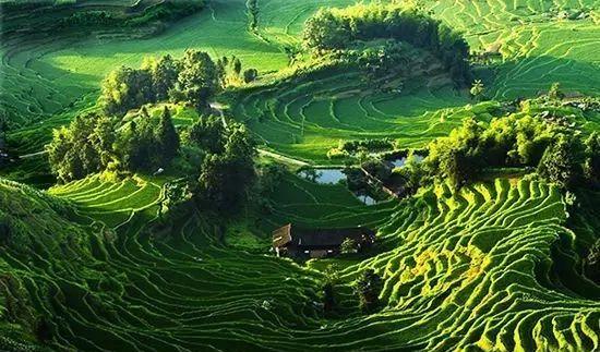 湖北周邊自駕游_湖北周邊適合自駕游的地方_51湖北周邊自駕游去哪里好玩