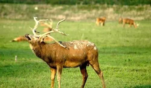 湖北周邊自駕游_湖北周邊適合自駕游的地方_51湖北周邊自駕游去哪里好玩