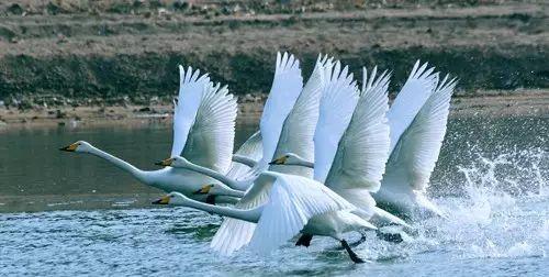 湖北周邊自駕游_51湖北周邊自駕游去哪里好玩_湖北周邊適合自駕游的地方