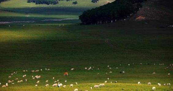 沈陽自駕到呼倫貝爾 還是克什克騰好