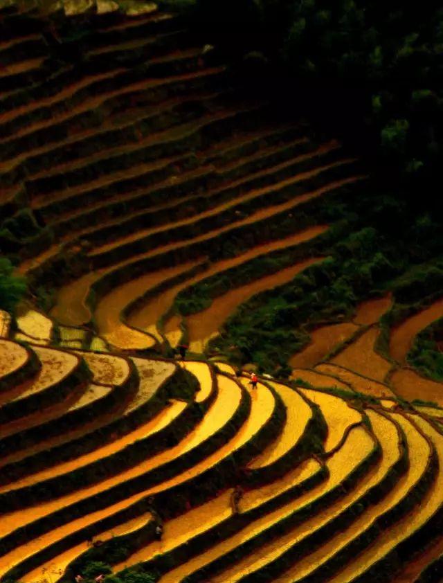 贛州到深圳自駕游_贛州到深圳沿途的旅游景點_自駕贛州深圳游到廣州路線