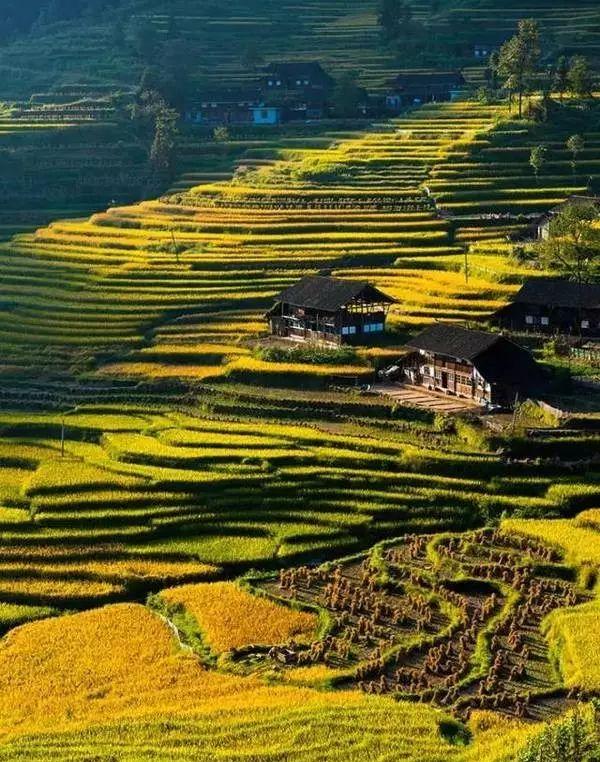 自駕贛州深圳游到廣州路線_贛州到深圳沿途的旅游景點_贛州到深圳自駕游