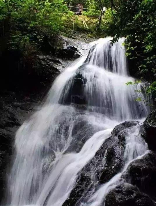 贛州到深圳自駕游_贛州到深圳沿途的旅游景點_自駕贛州深圳游到廣州路線
