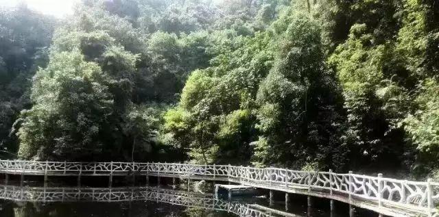 玻璃橋之旅_玻璃橋自駕游_游玩玻璃橋