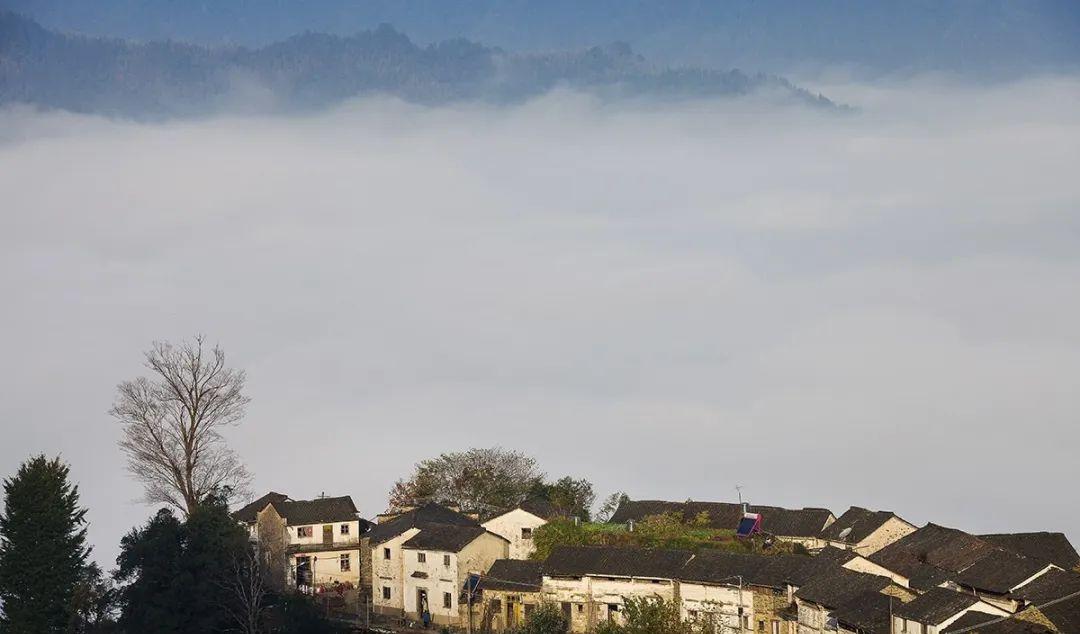 休寧一日游_休寧自駕游_休寧旅游攻略