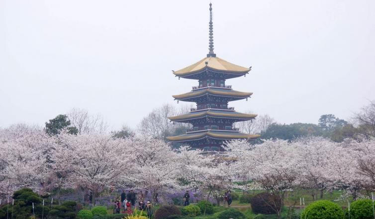 自駕去武漢旅游推薦_自駕出發(fā)武漢游玩攻略_武漢出發(fā)自駕游