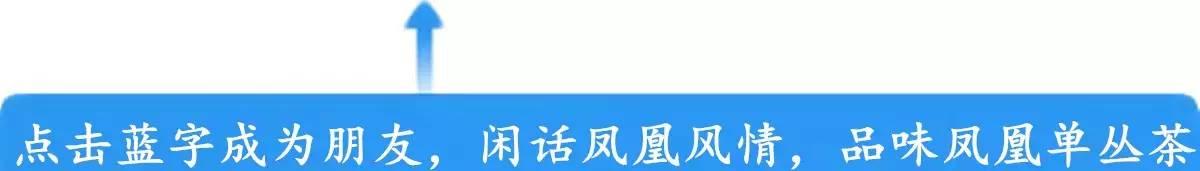 潮州自駕游路線_自駕潮州兩日游攻略_潮州自駕游最佳路線圖