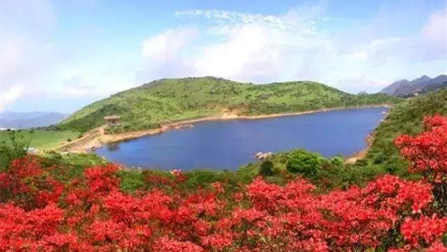 自駕潮州兩日游攻略_潮州自駕游路線_潮州自駕游最佳路線圖