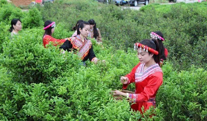 潮州自駕游最佳路線圖_潮州自駕游路線_自駕潮州兩日游攻略