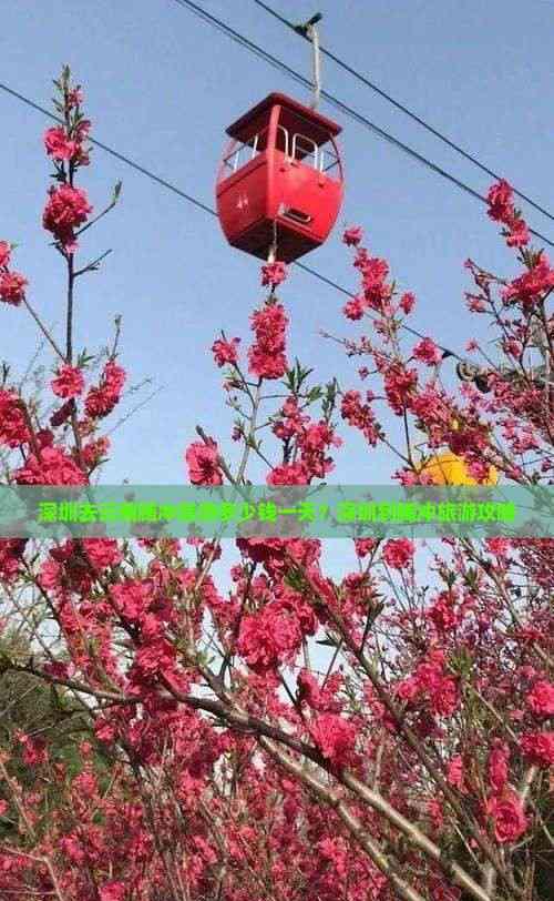 深圳去云南騰沖旅游多少錢一天?深圳到騰沖旅游攻略