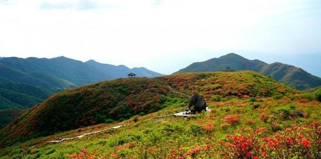 自駕長沙旅游攻略景點必去_長沙自駕游群介紹_自駕游長沙攻略