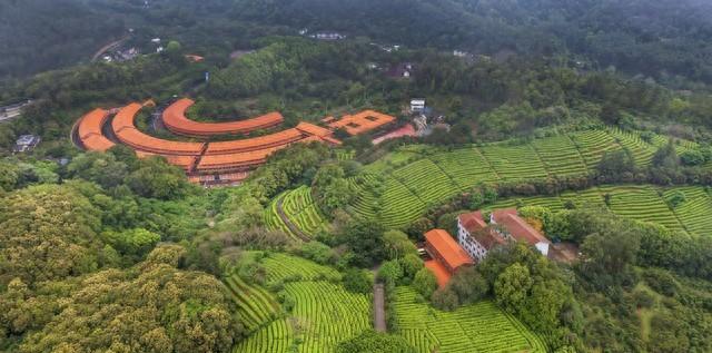 豐順銅鼓峰旅游度假村_豐順銅鼓峰自駕游_豐順銅鼓峰風景區(qū)游玩攻略