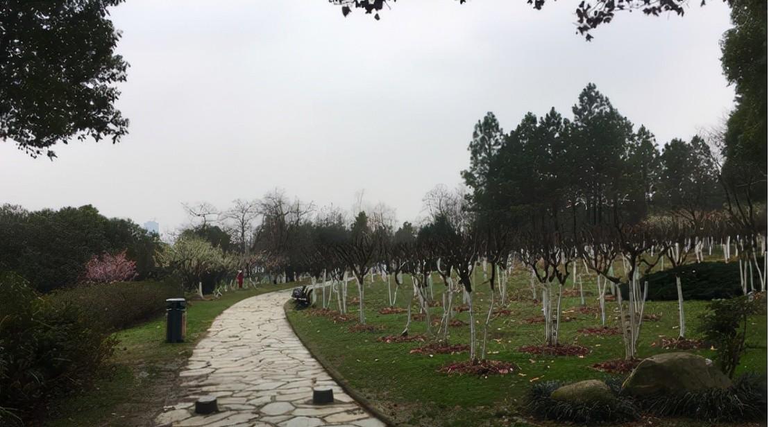 豐順銅鼓峰旅游攻略_豐順銅鼓峰自駕游_豐順銅鼓峰旅游度假村