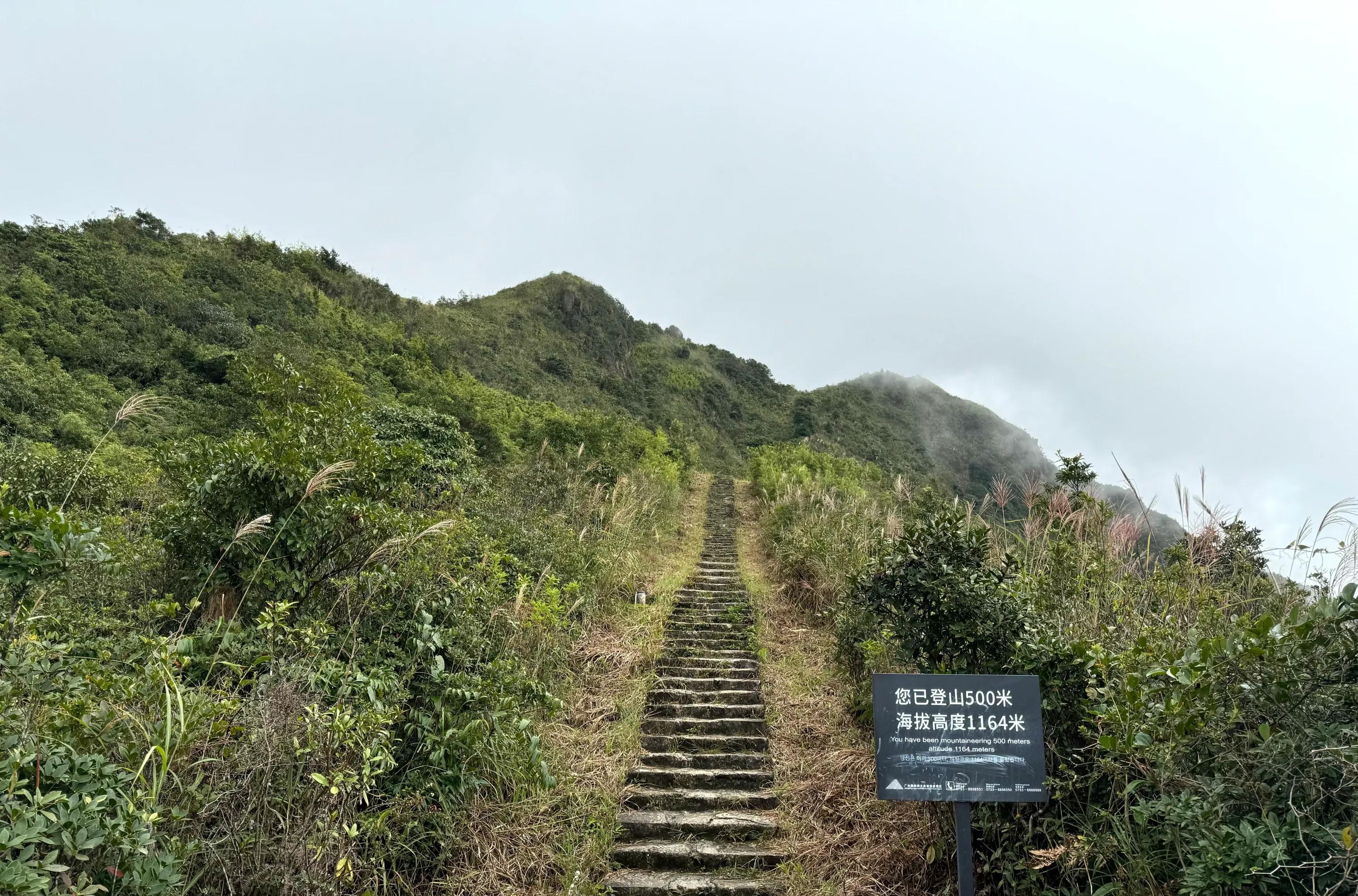 自駕峰游銅鼓豐順路線_豐順銅鼓峰自駕游_豐順銅鼓峰門票多少錢