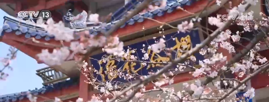 自駕聊城杭州游到哪里合適_聊城離杭州多遠_聊城到杭州自駕游