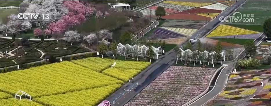 自駕聊城杭州游到哪里合適_聊城離杭州多遠_聊城到杭州自駕游