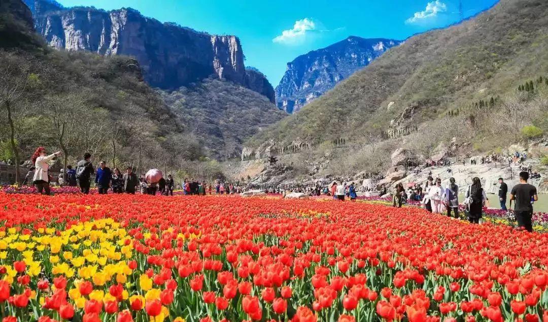 自駕游青天河旅游詳細攻略_自駕游推薦青天河游玩_青天河自駕游推薦