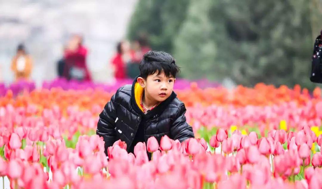 自駕游青天河旅游詳細攻略_自駕游推薦青天河游玩_青天河自駕游推薦
