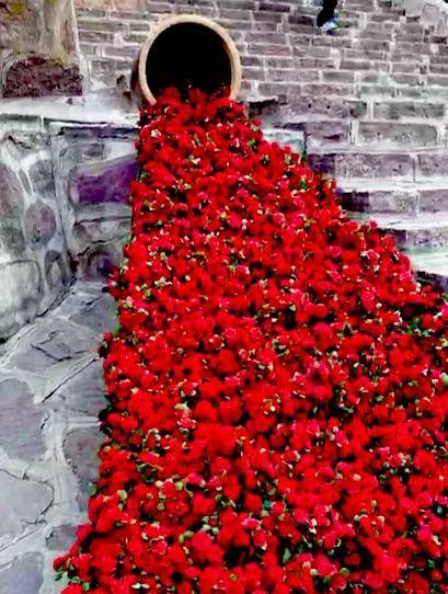 青天河自駕游推薦_自駕游青天河旅游詳細攻略_自駕游推薦青天河游玩