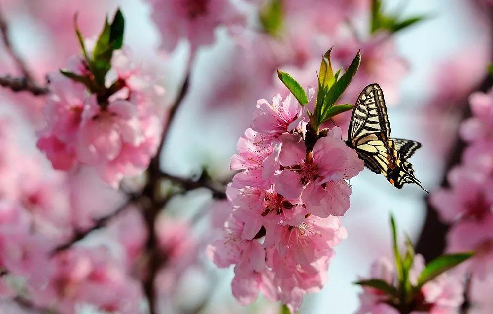自駕游推薦青天河游玩_青天河自駕游推薦_自駕游青天河旅游詳細攻略