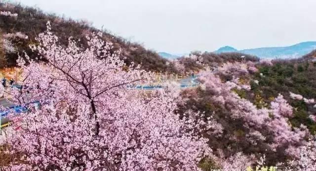 自駕游青天河旅游詳細攻略_青天河自駕游推薦_自駕游推薦青天河游玩