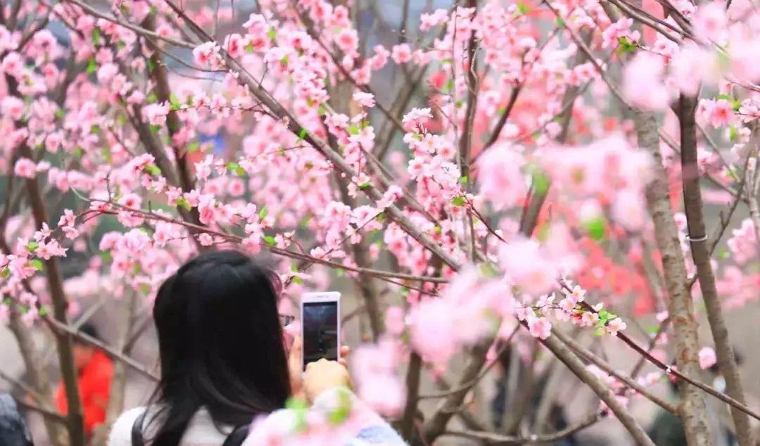 自駕游推薦青天河游玩_自駕游青天河旅游詳細攻略_青天河自駕游推薦