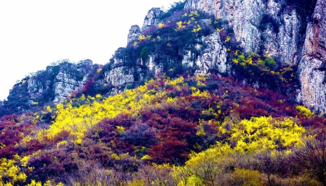 自駕游推薦青天河游玩_自駕游青天河旅游詳細攻略_青天河自駕游推薦