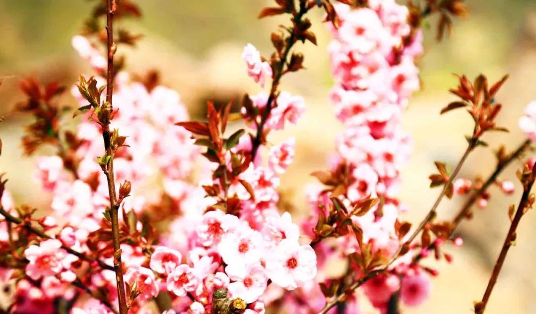 青天河自駕游推薦_自駕游推薦青天河游玩_自駕游青天河旅游詳細攻略