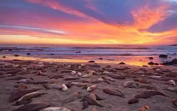 美西冬天自駕游_美西冬天自駕游_美西冬天自駕游