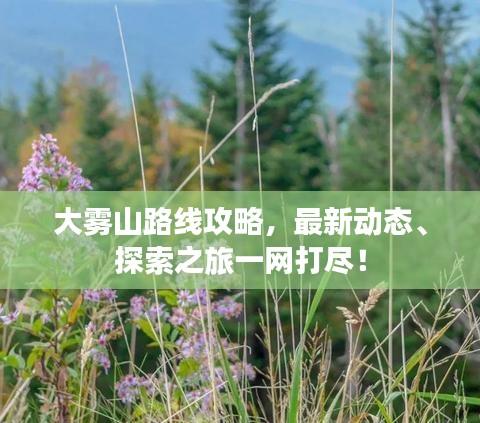 大霧山路線攻略，最新動(dòng)態(tài)、探索之旅一網(wǎng)打盡！