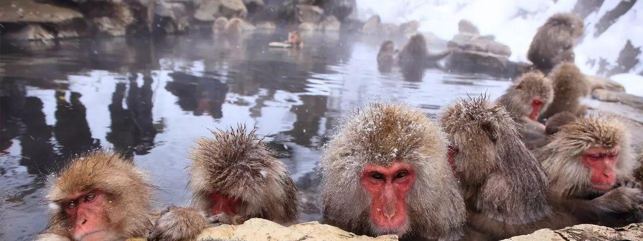 美西冬天自駕游_美西冬天自駕游_美西冬天自駕游