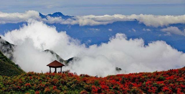 長沙周末自駕游_長沙周邊自駕一日游_長沙周邊自駕游有