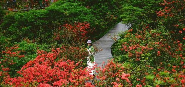 長沙周末自駕游_長沙周邊自駕一日游_長沙周邊自駕游有